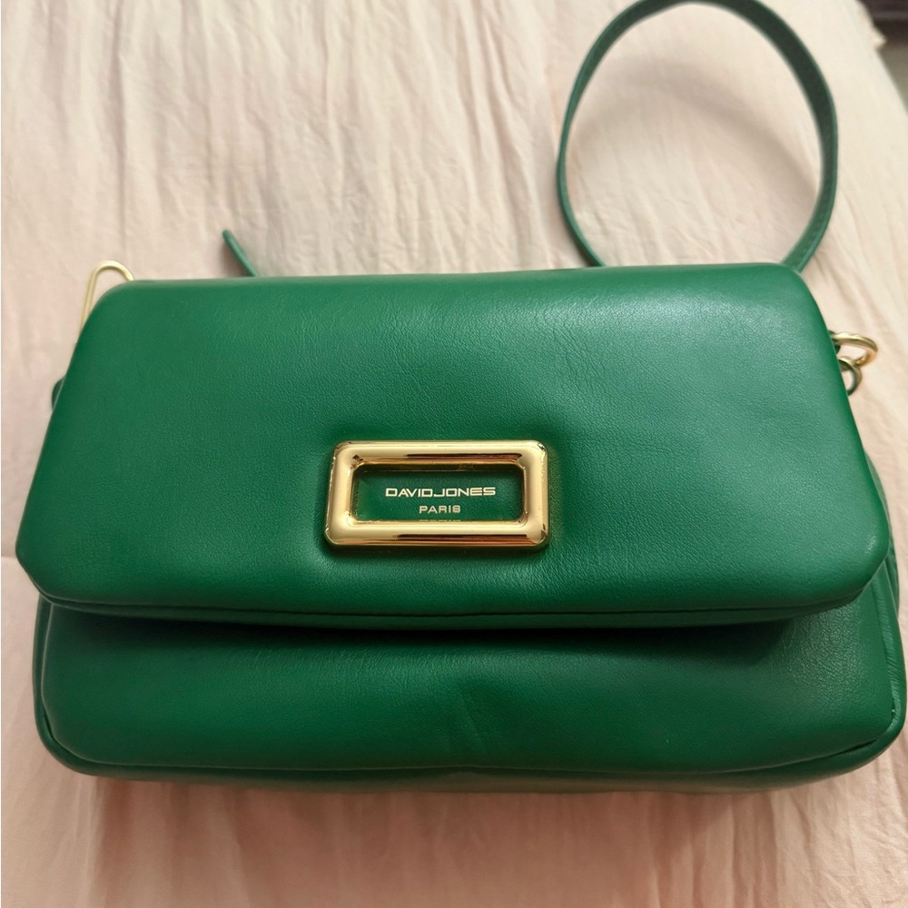 David Jones Paris Green Crossbody Bag